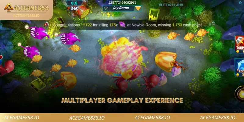 Multiplayer Gameplay Experience